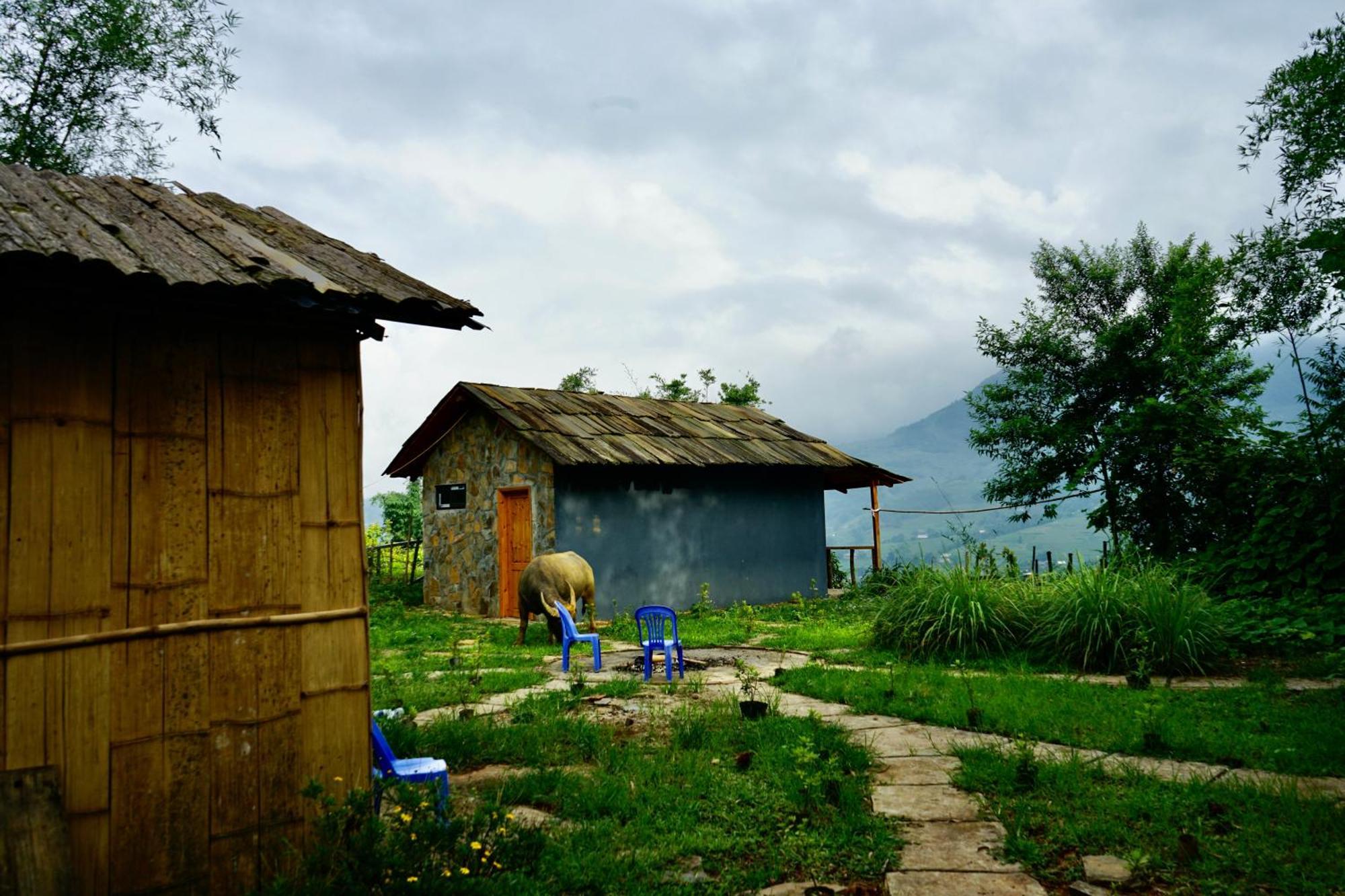 Sapa Hillcrest Homestay Lào Cai Kültér fotó