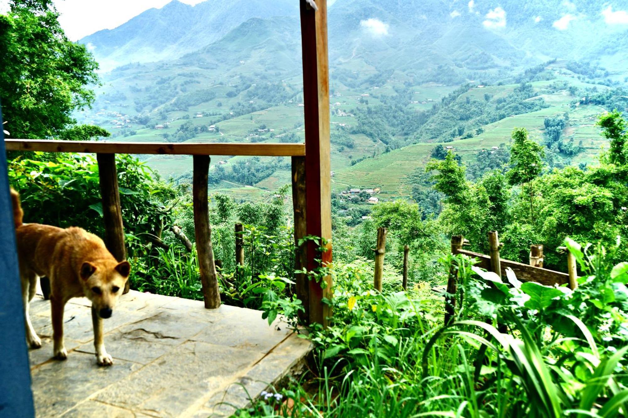 Sapa Hillcrest Homestay Lào Cai Kültér fotó